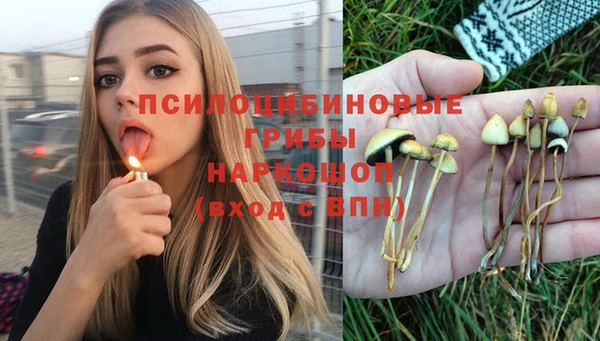 COCAINE Алексеевка