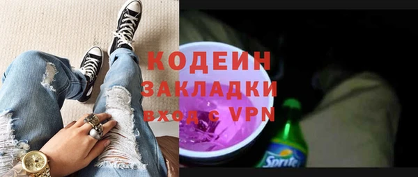 индика Сатка