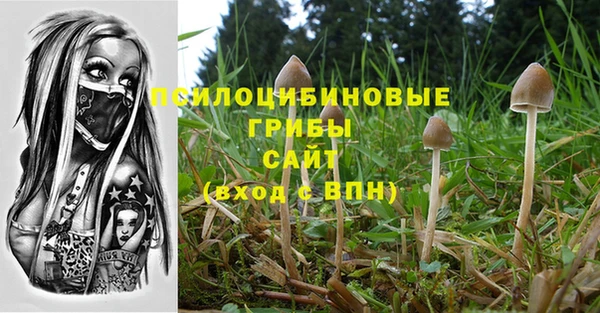 героин Алзамай