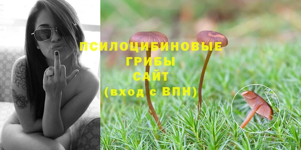 героин Алзамай