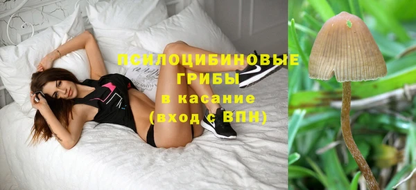 героин Алзамай