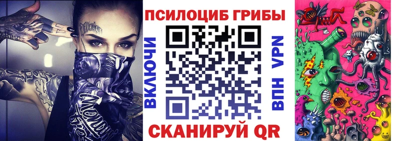 где купить   Жирновск  Псилоцибиновые грибы Psilocybe 